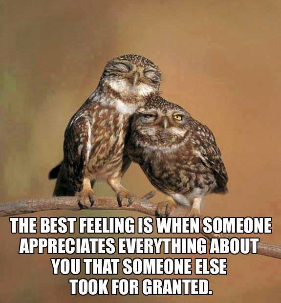 Showing Appreciation Gives One A Great Feeling