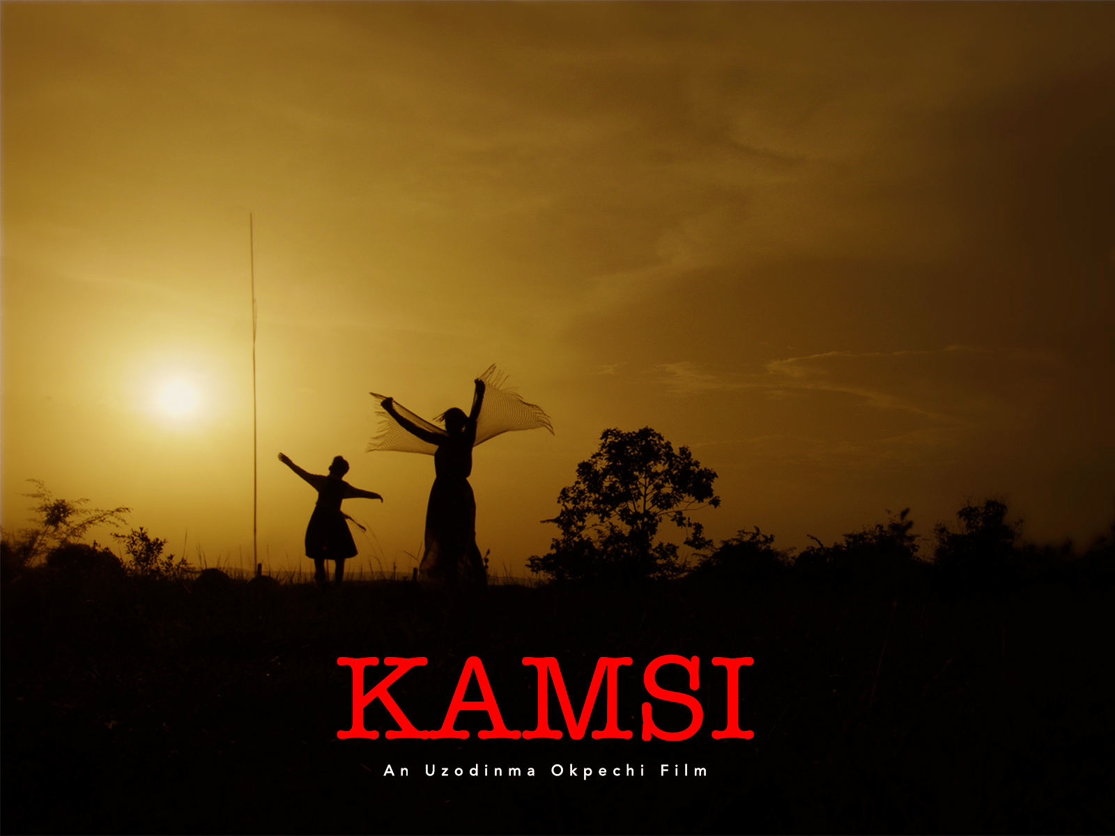 This image has an empty alt attribute; its file name is kamsi-flyer.jpg